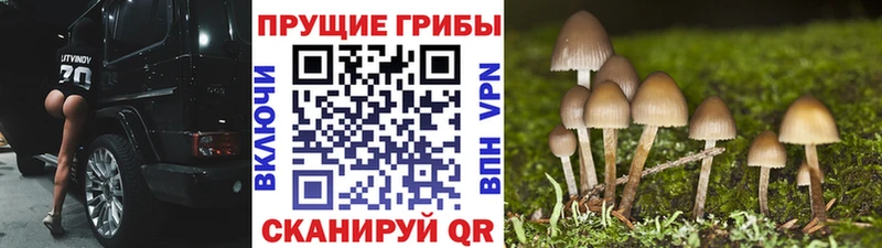 Галлюциногенные грибы ЛСД  Алагир 